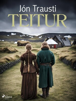 cover image of Teitur